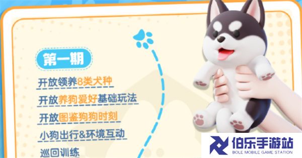 心动小镇养狗爱好如何解锁