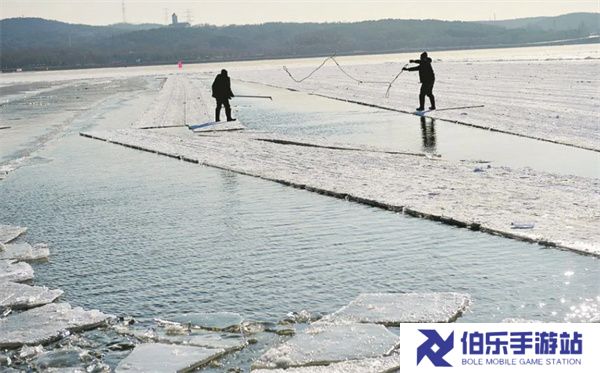 蚂蚁新村4月13日答案更新2025