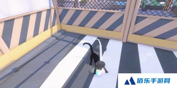 《小猫咪大城市》蝴蝶帽获得方法
