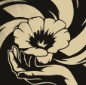 游侠网5