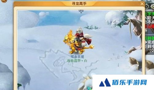 梦幻西游驯龙高手拍照任务怎么做