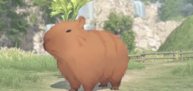 游侠网5