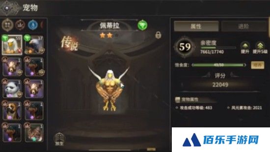 奇迹世界起源战士宠物推荐